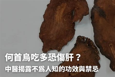 何首烏 功效|醫砭 » 常用中藥 » 何首烏